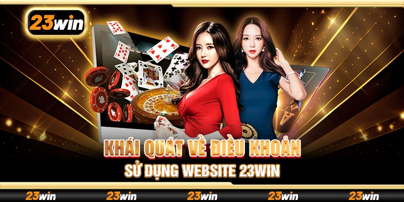 Khái quát về điều khoản sử dụng website 23Win